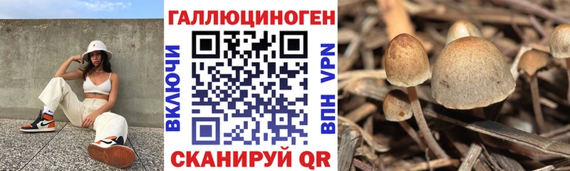 Галлюциногенные грибы мицелий  где найти наркотики  Донецк 