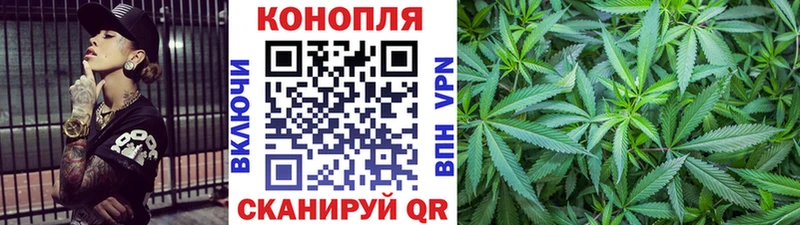 Бошки Шишки планчик  Донецк 